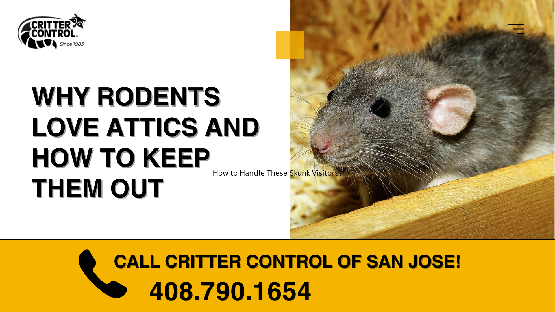 Don't Let Rodents Ruin Your Roof: A Homeowner's Guide