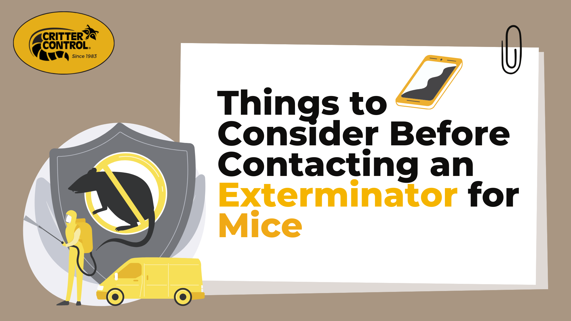 Things to Consider Before Contacting an Exterminator for Mice