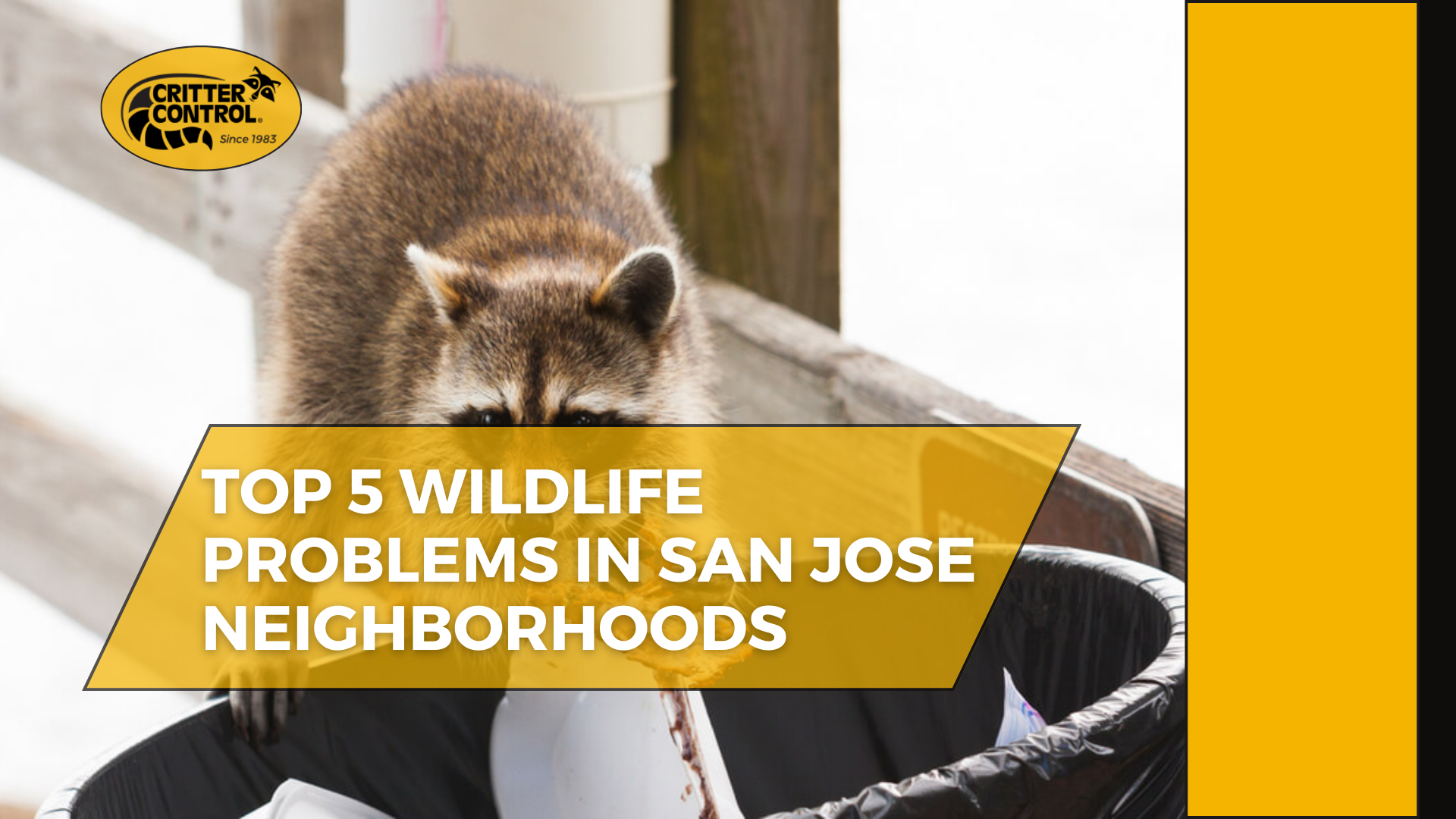 Top 5 Wildlife Problems in San Jose Neighborhoods