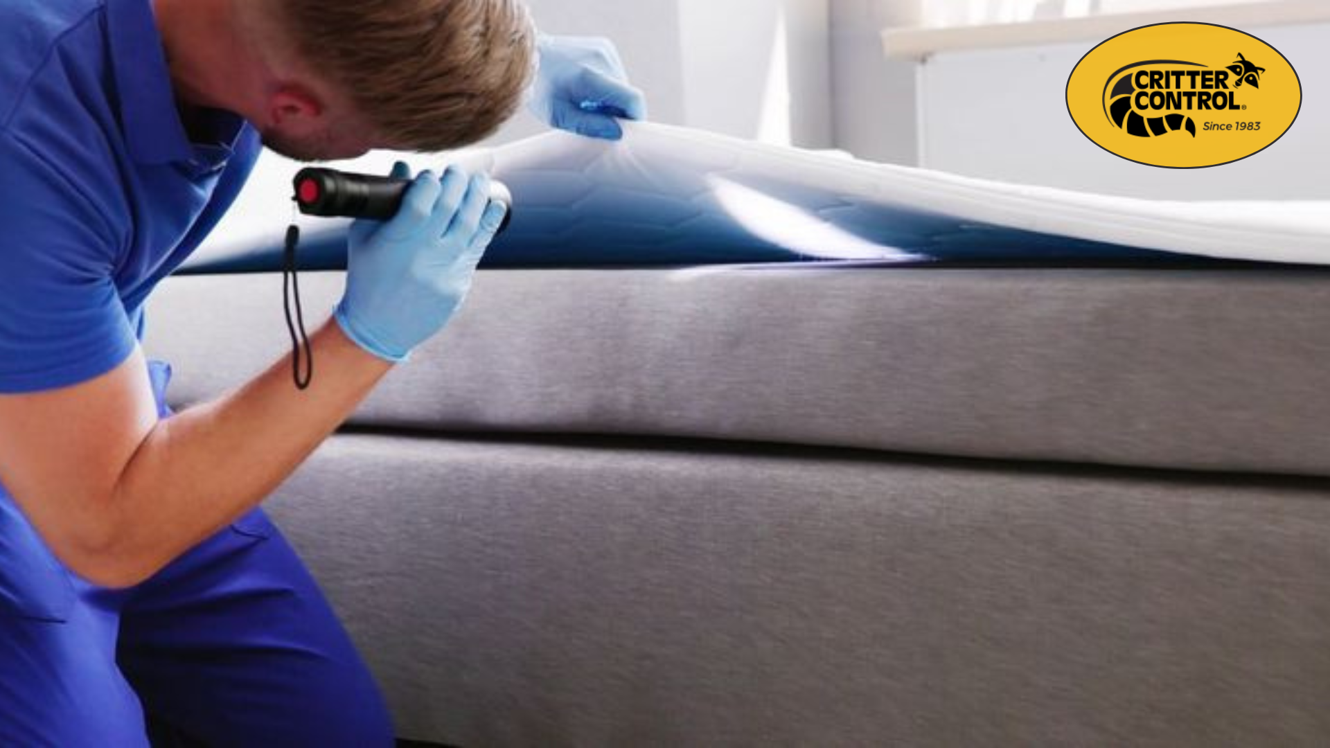 How to Keep Your San Jose Home Pest-Free During the Holiday Season