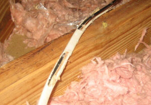 Chewed Electrical Wires and Fire Hazards